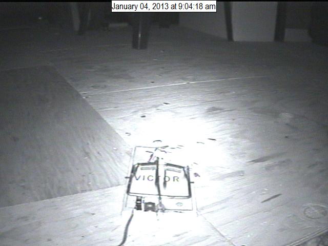 RatCam Image