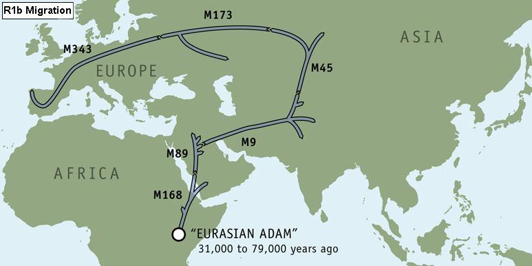 R1b_map.jpg