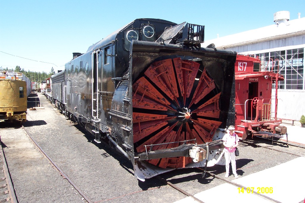 DCP_3869